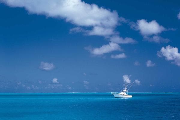 SEO Strategies for Casino Affiliates